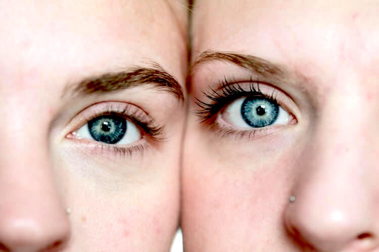 双子の青い目